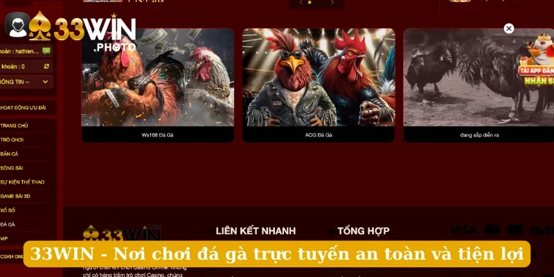 33WIN - Nơi chơi đá gà trực tuyến an toàn và tiện lợi